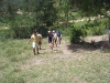 Corporate Teambuilding Events
