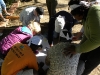 Old Mutual E-L Team Fun June 2011