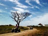 Quad Adventure Tours