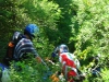 Tag-a-long Tours