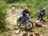 Tag-a-long Tours