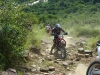 Tag-a-long Tours