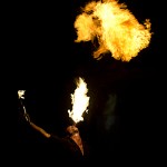 _MG_4869 _MG_4869